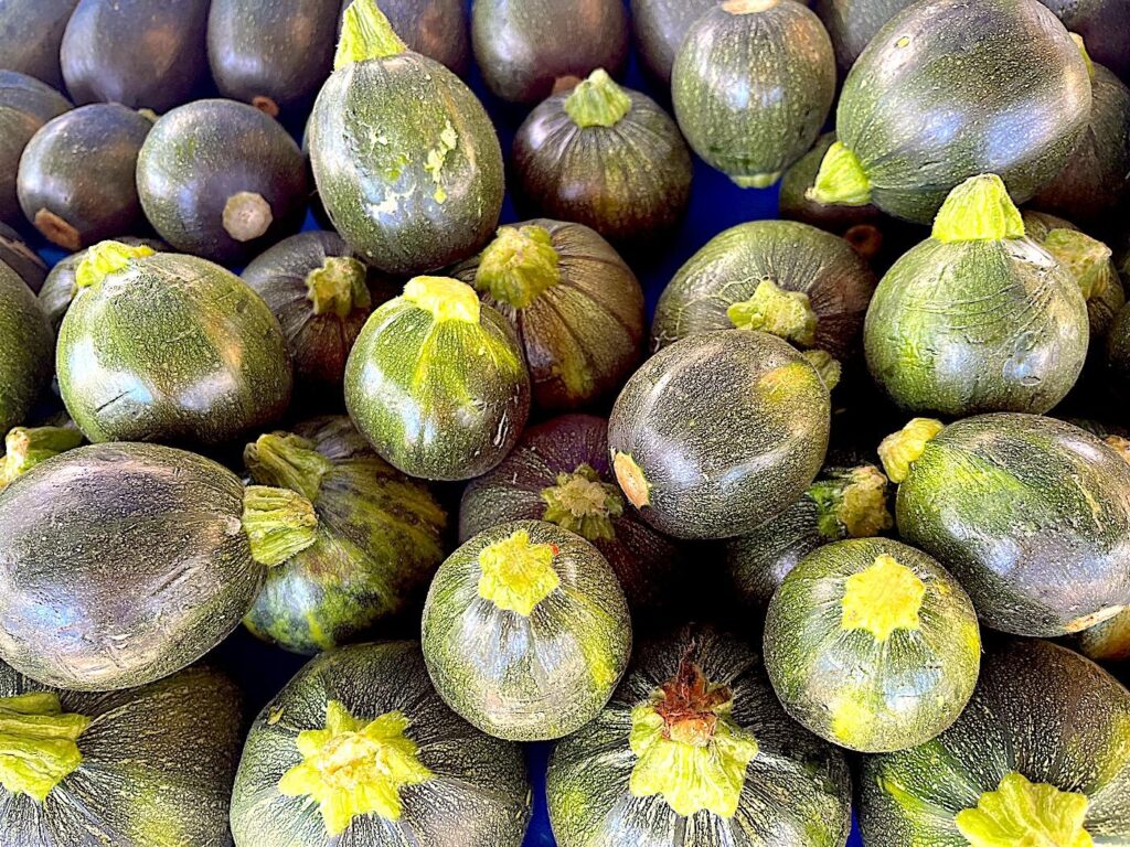 Courgette (for Stuffing) - Kabak Dolmalık