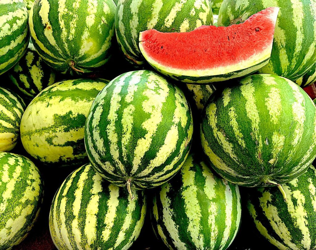 Ovacık Watermelon - Ovacık Karpuzu