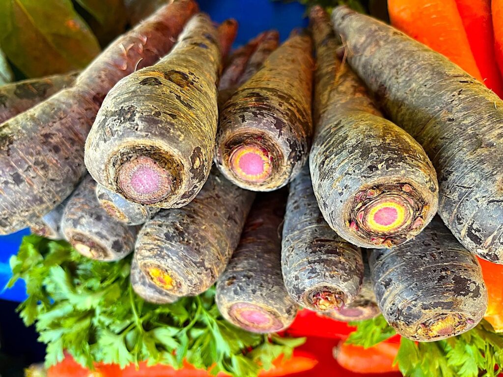 Black Carrot - Siyah Havuç