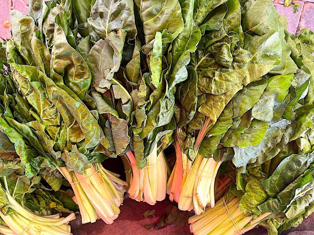 Swiss Chard - Pazı