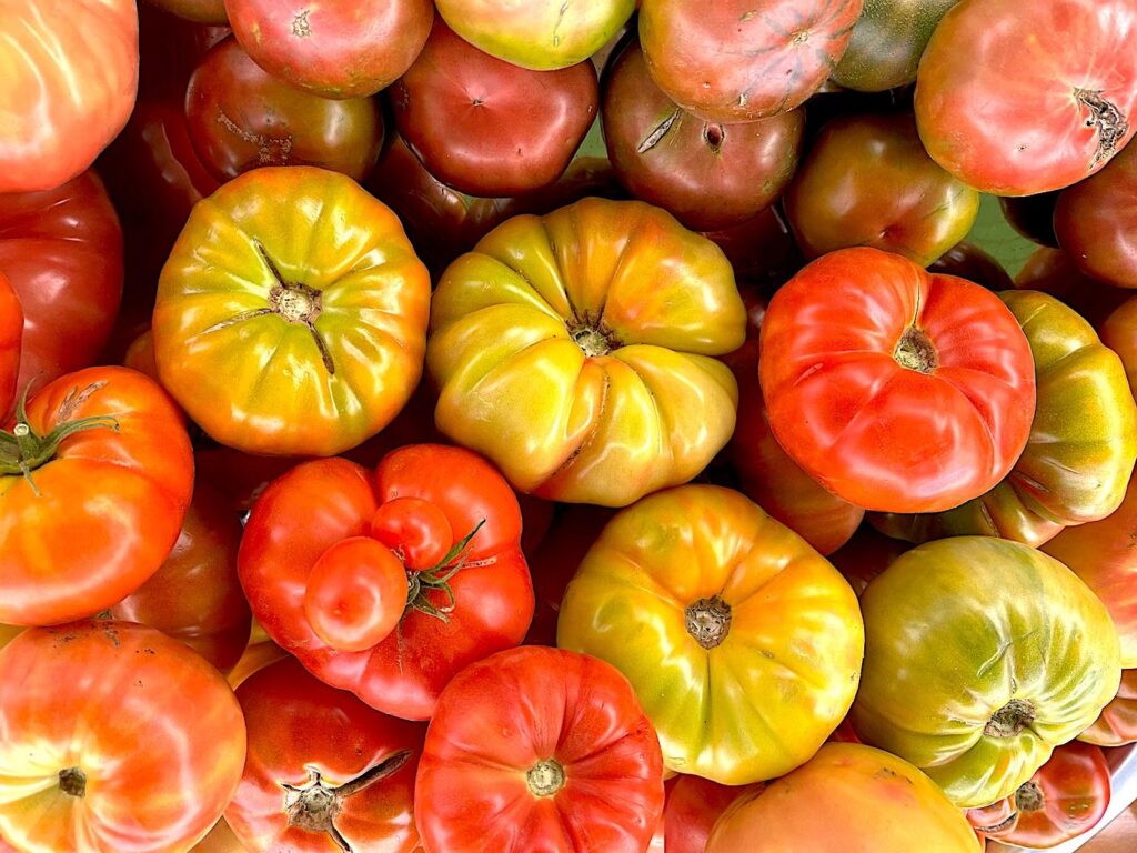 Heirloom Tomato – Köy domatesi