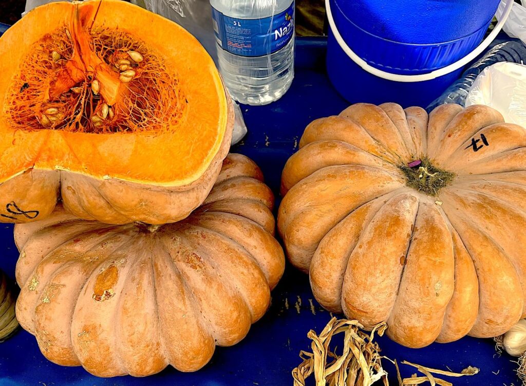 Pumpkin – Balkabağı