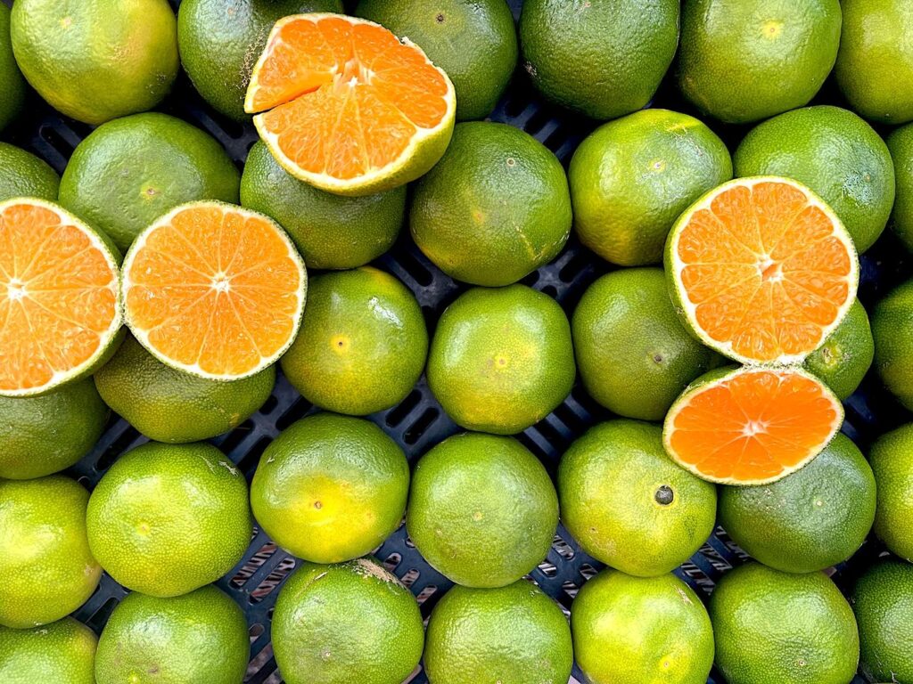 Mandarin – Mandalina