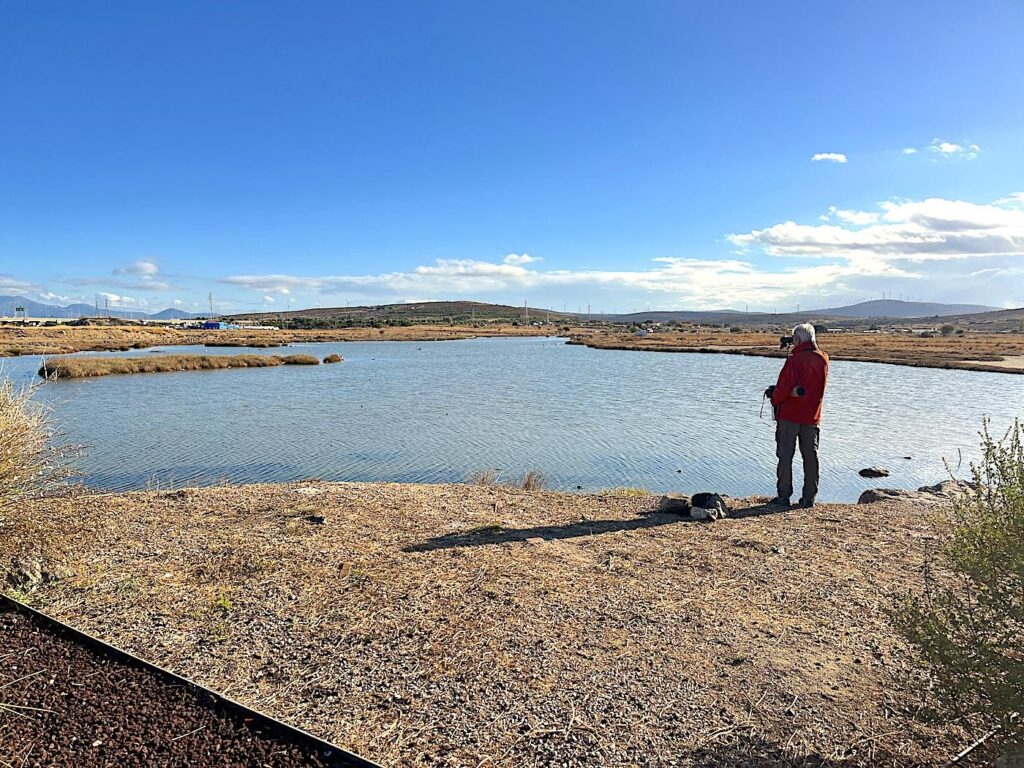 Prof. Dr Sezai Göksu at the Alaçatı Wetlands