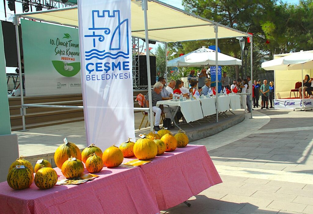 Ovacık Agriculture Festival Judge Table 