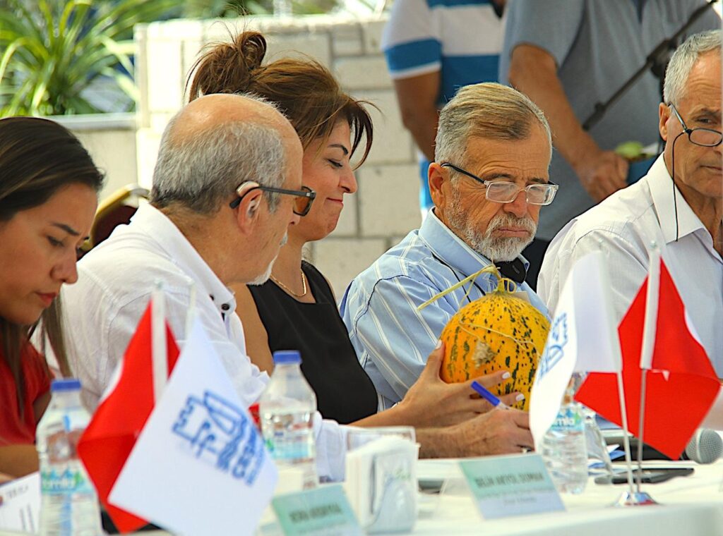 Best Çeşme Melon Judging