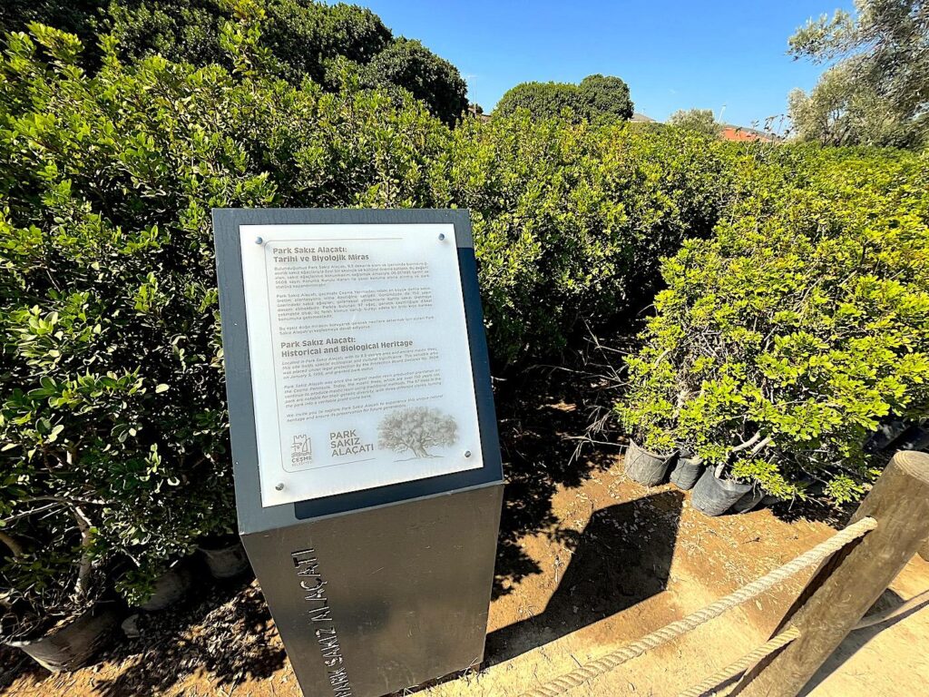 Alaçatı Sakız Park