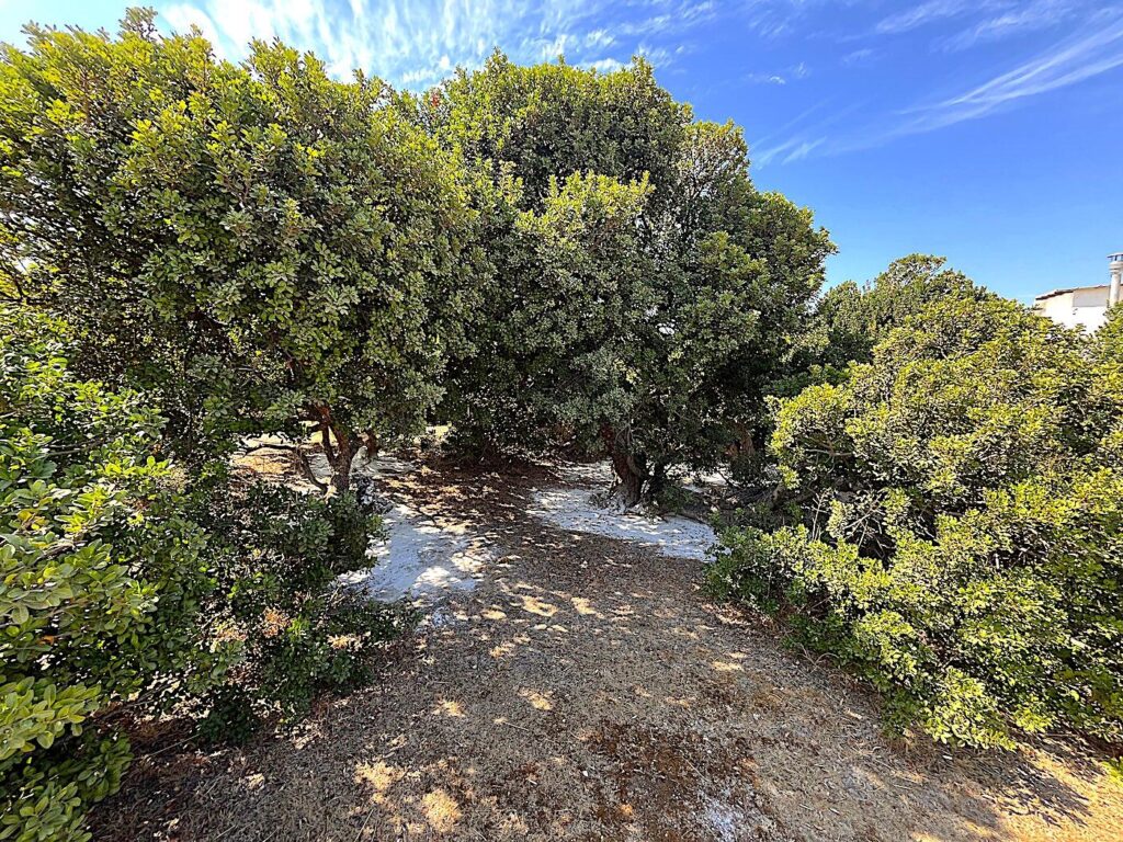 Alaçatı Sakız Park